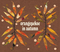 orangepekoe in autumn
