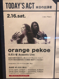 orange epekoe 